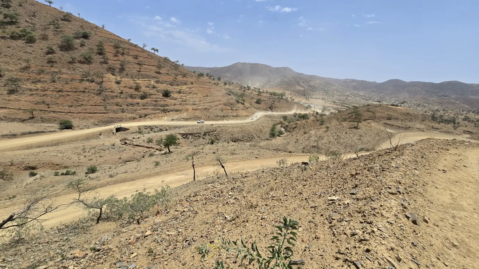 ምረቓ ብህዝቢን ሰራዊት ትግራይን ዝተሃነፀ ፅረግያ